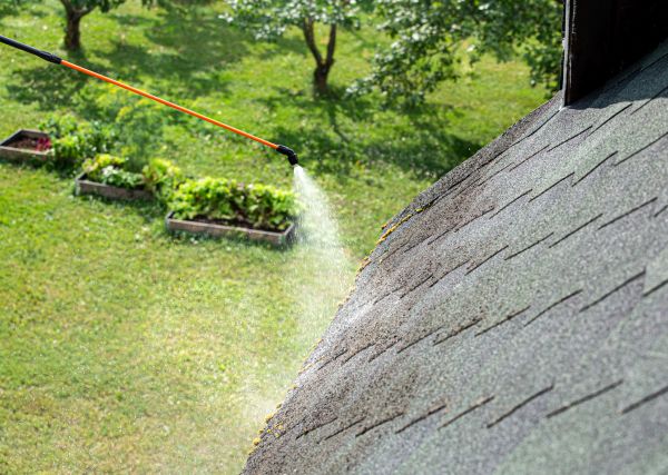 Roof Moss Prevention