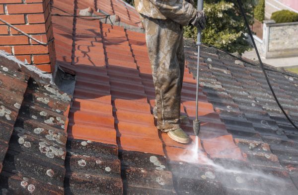 Home Roof Cleaning