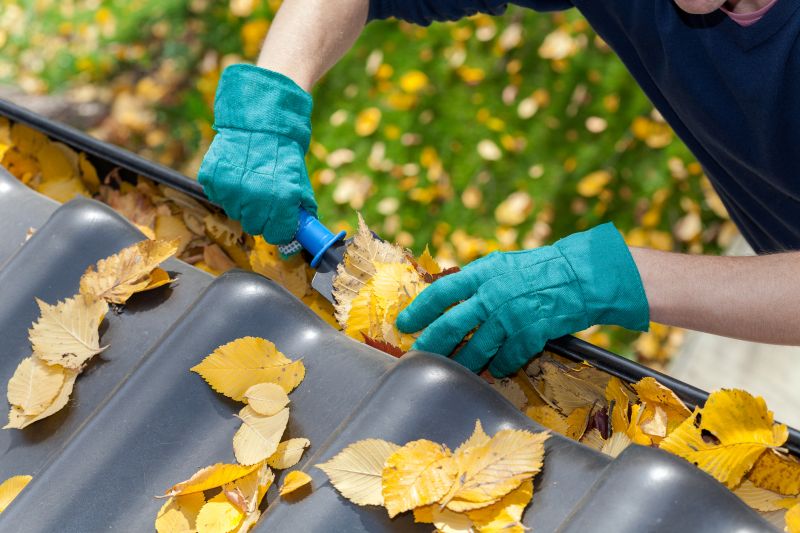 Business Gutter Cleaning in Denver, CO