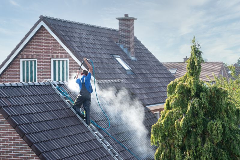 Roof Moss Cleaning Service