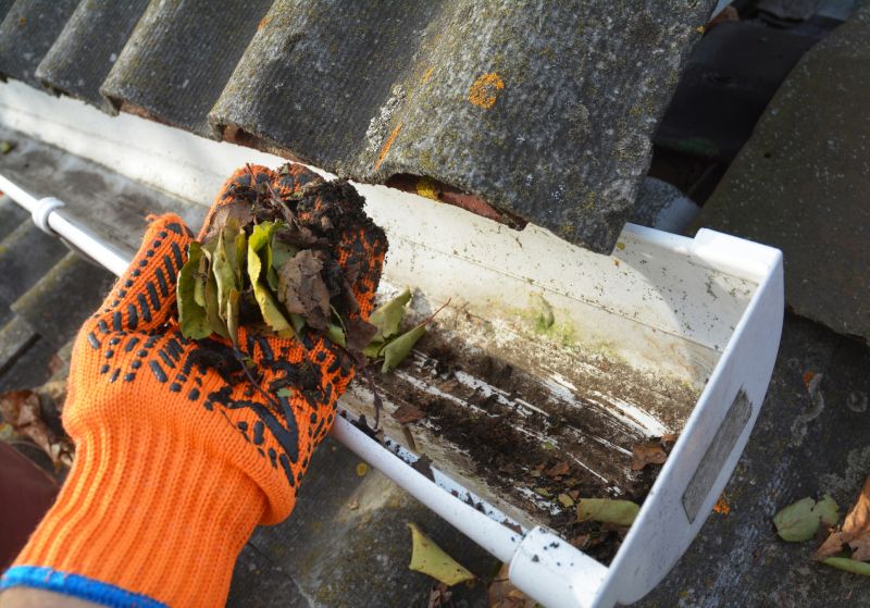 Gutter Leaf Clearing in Longmont, CO