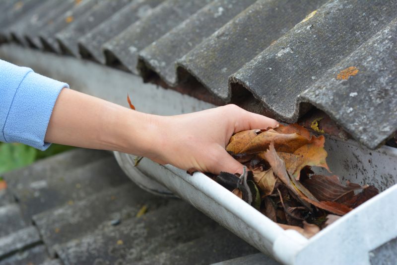 Gutter Leaf Clearing in Arvada, CO