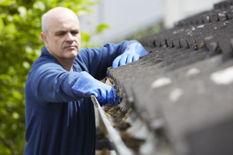 Roof Gutter Cleaning in Bergen County, NJ